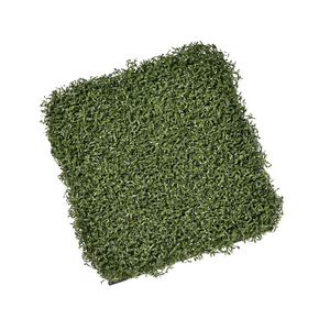 Tee Tee Turf Mat